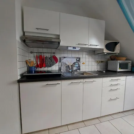 Lachmoewe Heringsdorf (Usedom)