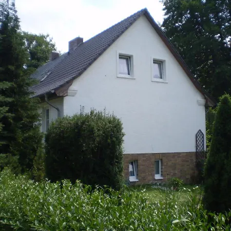 Lachmoewe