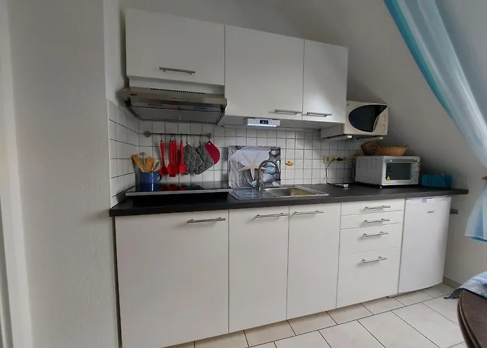 Lachmoewe Heringsdorf (Usedom)